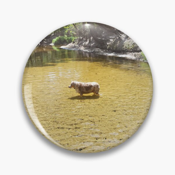 Item preview, Dog standing in creek designed and sold by reformedfruit.