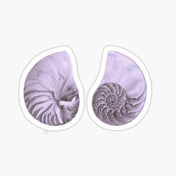 Seashells Sticker