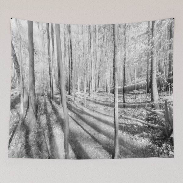 Item preview, Ghost Trees designed and sold by Craig Kauzmann.