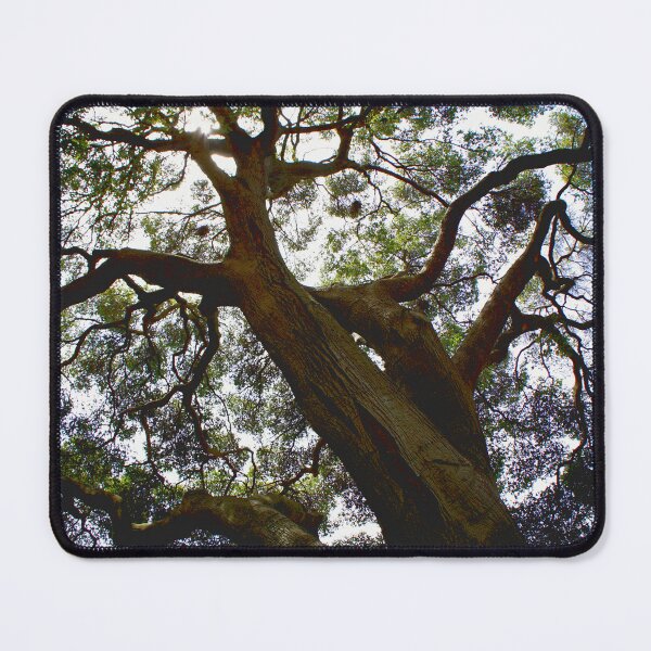Item preview, Dancing in the Streets designed and sold by fototaker Tony.