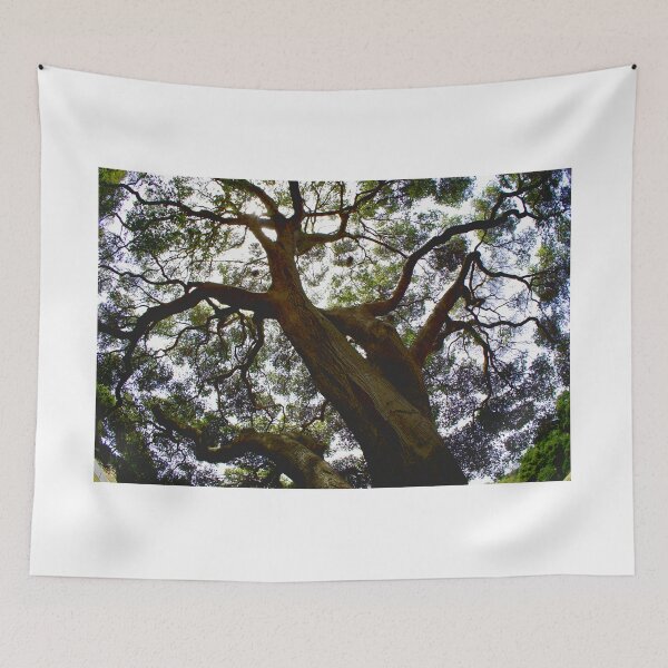 Item preview, Dancing in the Streets designed and sold by fototaker Tony.