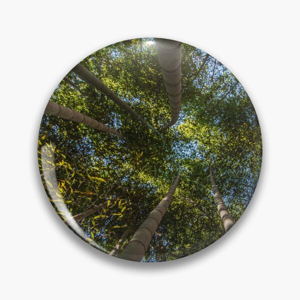 Item preview, Bamboo Forest Canopy designed and sold by Craig Kauzmann.