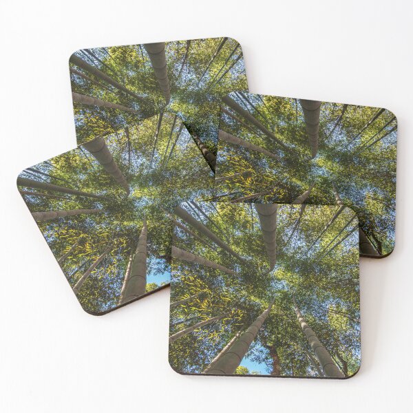 Artikelvorschau, Bamboo Forest Canopy entworfen und verkauft von Craig Kauzmann.