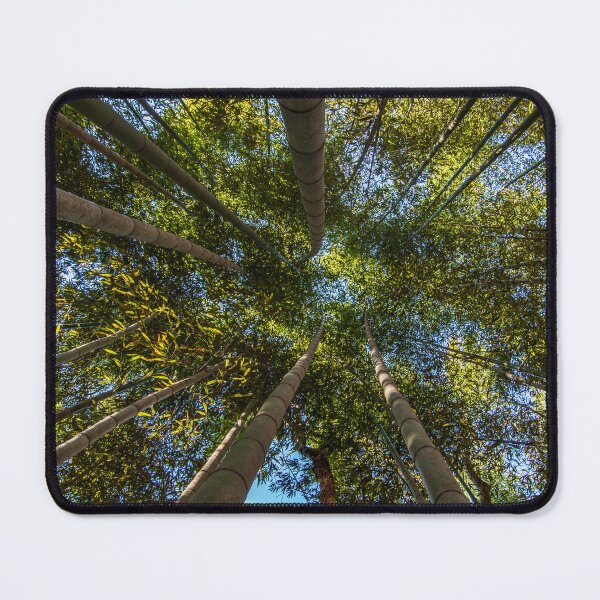 Artikelvorschau, Bamboo Forest Canopy entworfen und verkauft von Craig Kauzmann.