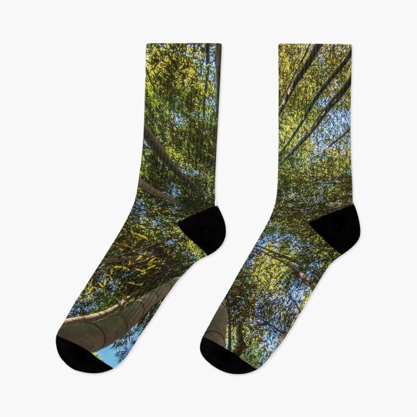 Item preview, Bamboo Forest Canopy designed and sold by Craig Kauzmann.