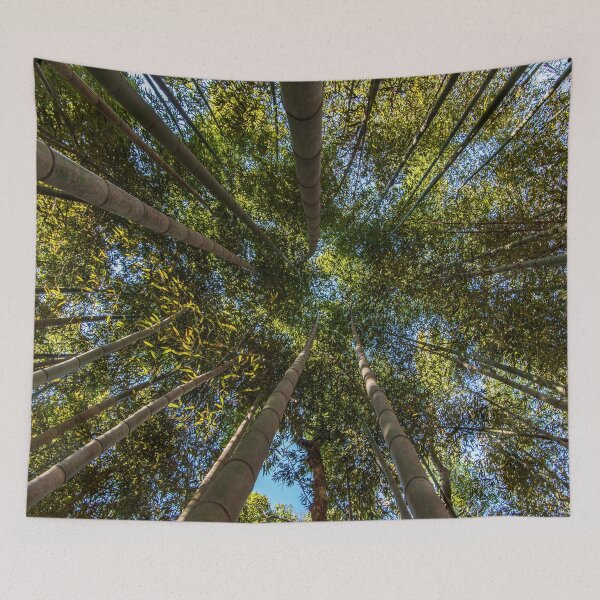 Item preview, Bamboo Forest Canopy designed and sold by Craig Kauzmann.
