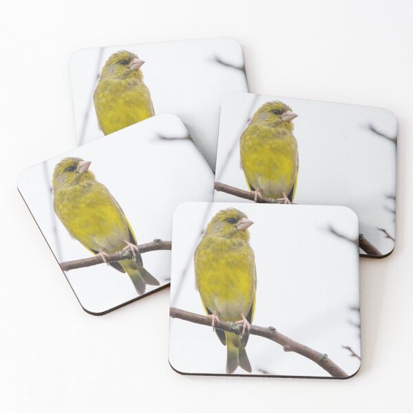 Item preview, Greenfinch designed and sold by LaurenTucker.