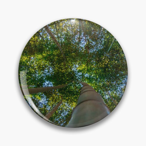 Item preview, Look Up designed and sold by Craig Kauzmann.