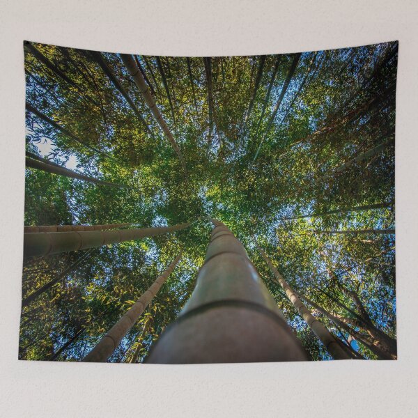 Item preview, Look Up designed and sold by Craig Kauzmann.
