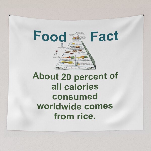 Item preview, About 20 Percent Of Al Calories Consumed - Food Fact designed and sold by CrankyOldDude.