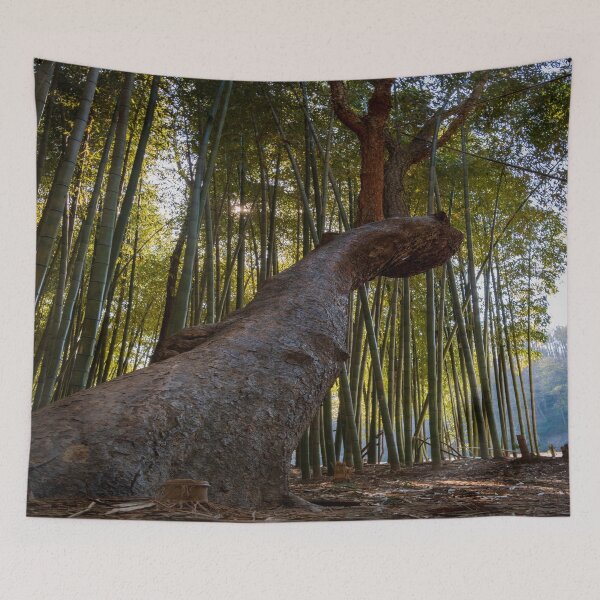 Item preview, Middle of the Bamboo Forest designed and sold by Craig Kauzmann.