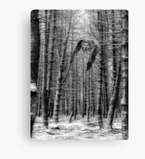 Great gray Owl in the snowy woods Canvas Print