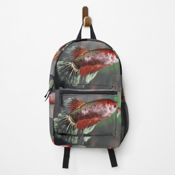 Item preview, Beautiful Beta designed and sold by craftsbydaphy.
