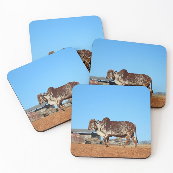 Item preview, Brahma Cow designed and sold by Cynthia48.