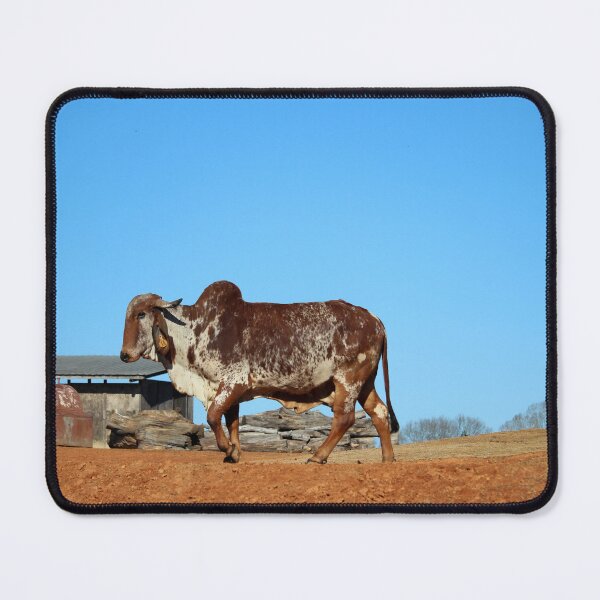 Item preview, Brahma Cow designed and sold by Cynthia48.