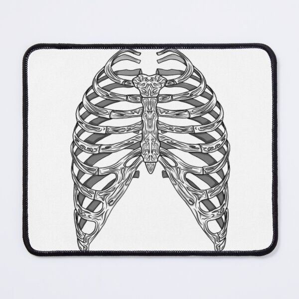 Item preview, Human ribcage designed and sold by Artistkhg.