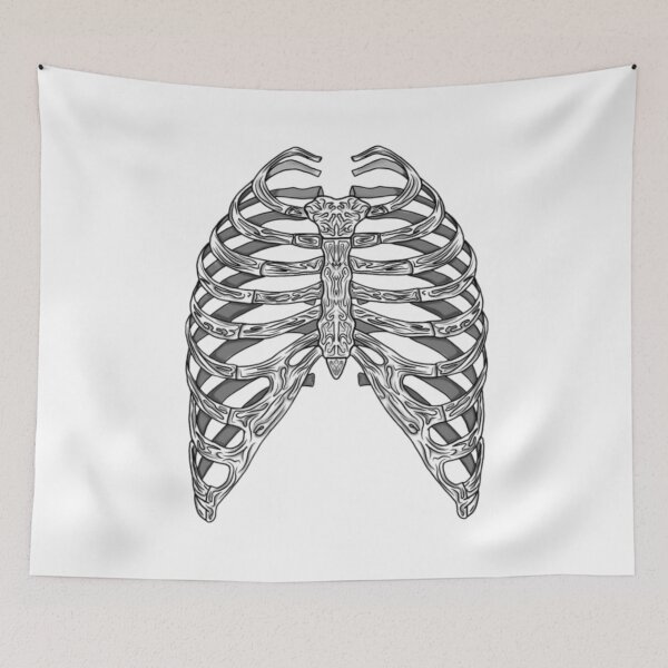 Item preview, Human ribcage designed and sold by Artistkhg.