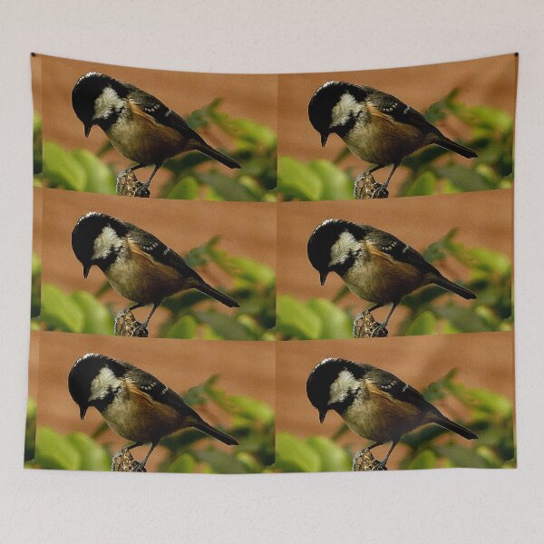 Item preview, Sitting on the Fence designed and sold by Forfarlass.