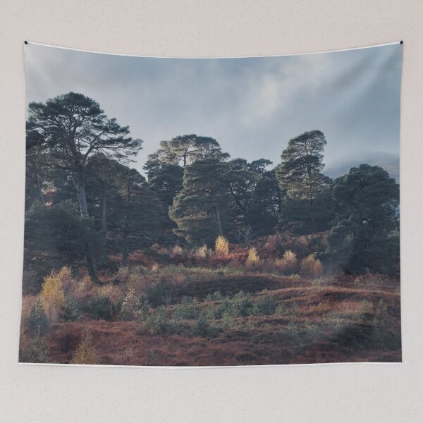 Item preview, Caledonian Forest, Glen Lyon designed and sold by ShinyPhoto.