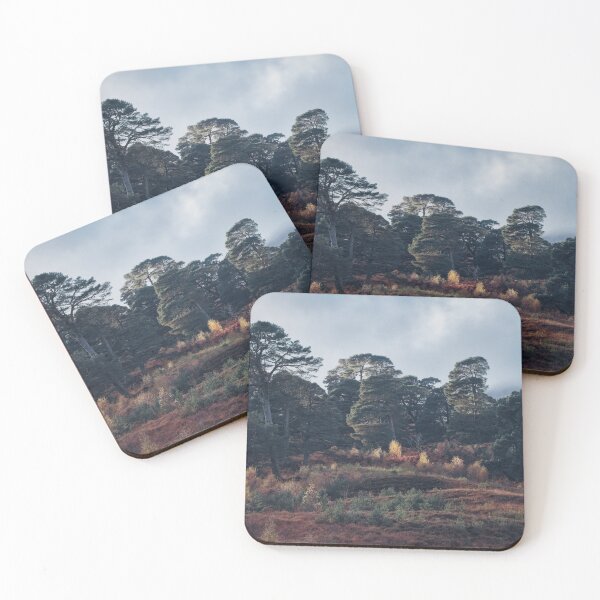 Item preview, Caledonian Forest, Glen Lyon designed and sold by ShinyPhoto.