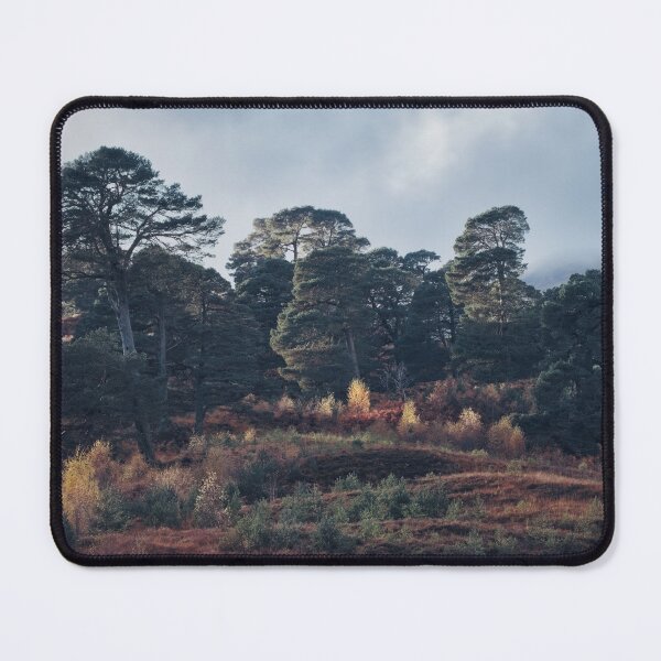 Item preview, Caledonian Forest, Glen Lyon designed and sold by ShinyPhoto.