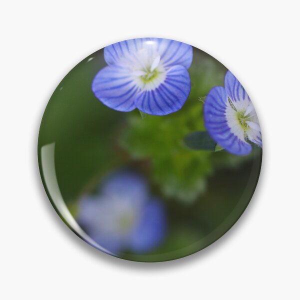 Item preview, Speedwell designed and sold by Paul Pasco.
