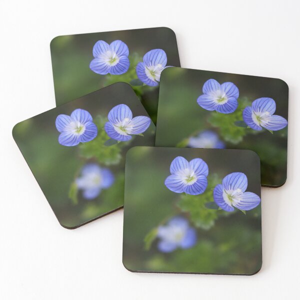 Item preview, Speedwell designed and sold by Paul Pasco.