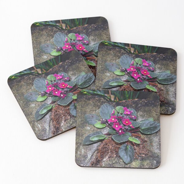 Item preview, African Violets  designed and sold by Savannah Gibbs.