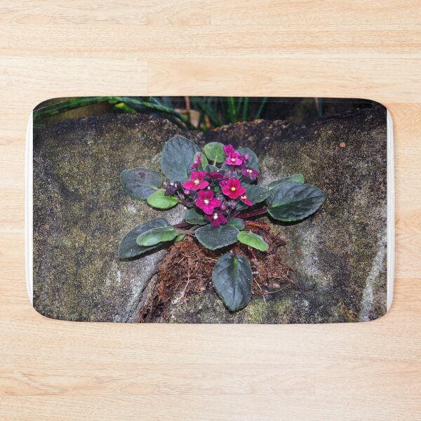 Item preview, African Violets  designed and sold by Savannah Gibbs.