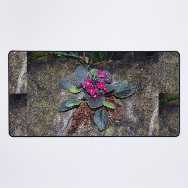 Item preview, African Violets  designed and sold by Savannah Gibbs.