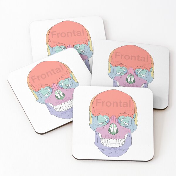 Item preview, Frontal Skull designed and sold by WilmingtonOT.