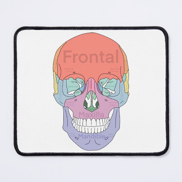 Item preview, Frontal Skull designed and sold by WilmingtonOT.