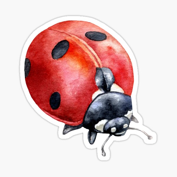 Hurst Ladybug sticker decal old school aircooled samba bus lady beetle bird 5" Hurst Ladybug sticker decal old school aircooled samba bus lady beetle bird 5"