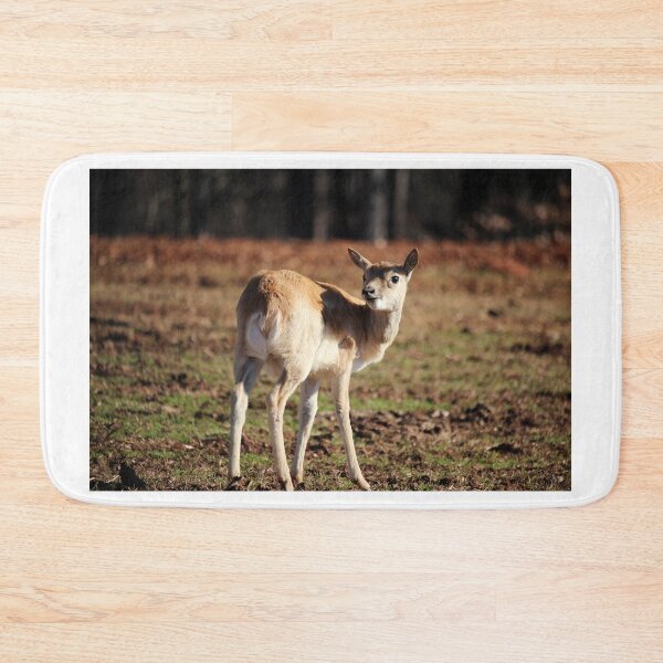 Item preview, Aoudad Kid On Alert designed and sold by Cynthia48.