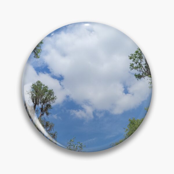 Item preview, Florida landscape designed and sold by reformedfruit.