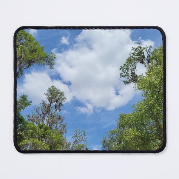 Item preview, Florida landscape designed and sold by reformedfruit.