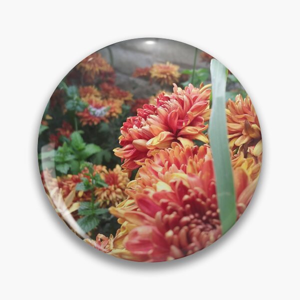 Item preview, Chrysanthemums designed and sold by Flyaways.