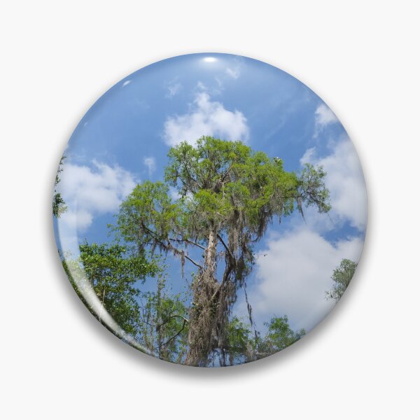 Item preview, Florida landscape designed and sold by reformedfruit.