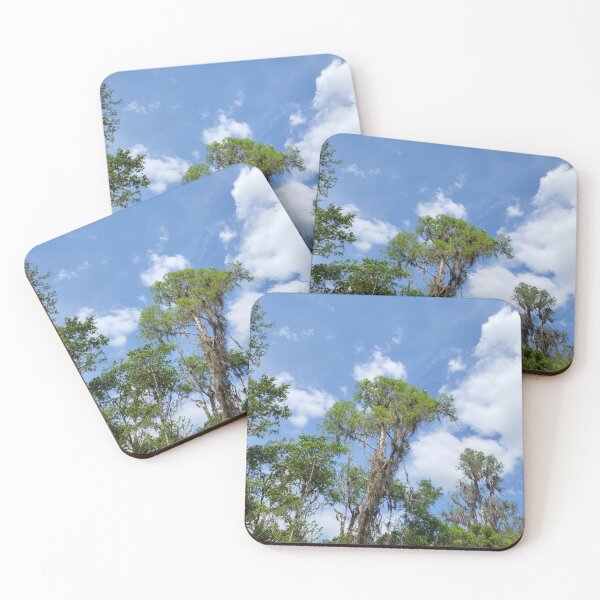 Item preview, Florida landscape designed and sold by reformedfruit.