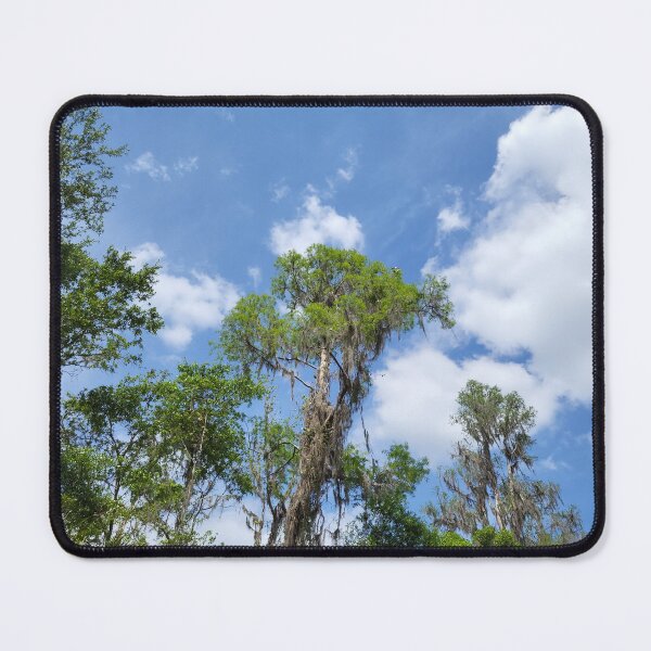Item preview, Florida landscape designed and sold by reformedfruit.