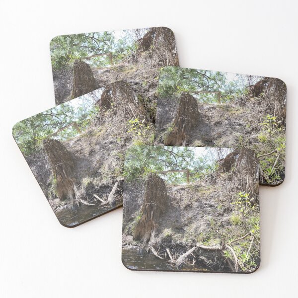 Item preview, Florida creek designed and sold by reformedfruit.