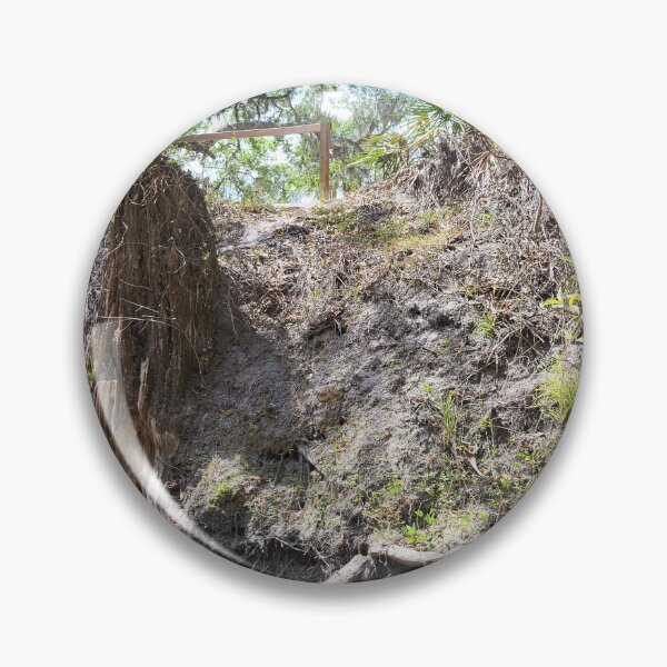 Item preview, Florida creek designed and sold by reformedfruit.