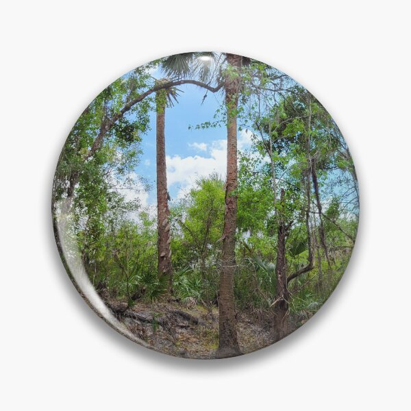 Item preview, Florida trail designed and sold by reformedfruit.