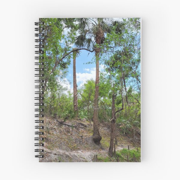Item preview, Florida trail designed and sold by reformedfruit.