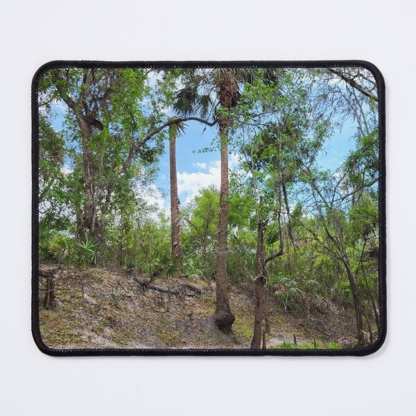 Item preview, Florida trail designed and sold by reformedfruit.