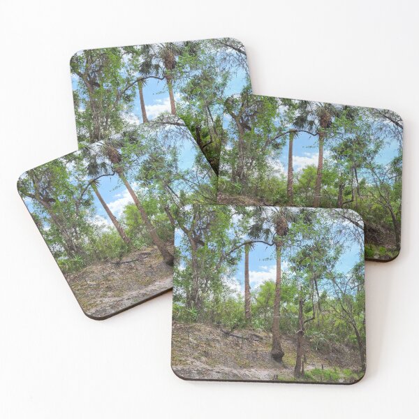 Item preview, Florida trail designed and sold by reformedfruit.