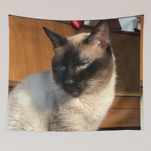 Item preview, Sentimental Siamese   designed and sold by Khala.