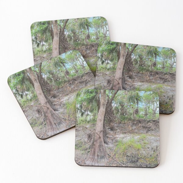 Item preview, Florida nature designed and sold by reformedfruit.