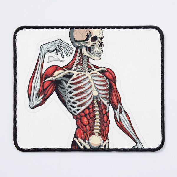 Item preview, Muscle and Skeleton Pain Vector Sticker on White Background designed and sold by kfir marco.