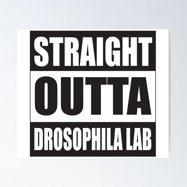 Item preview, Straight Outta Drosophila Lab designed and sold by Nastro411.